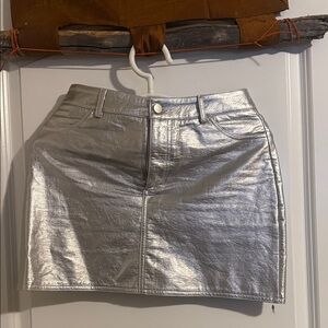 Silver Metallic Skirt
